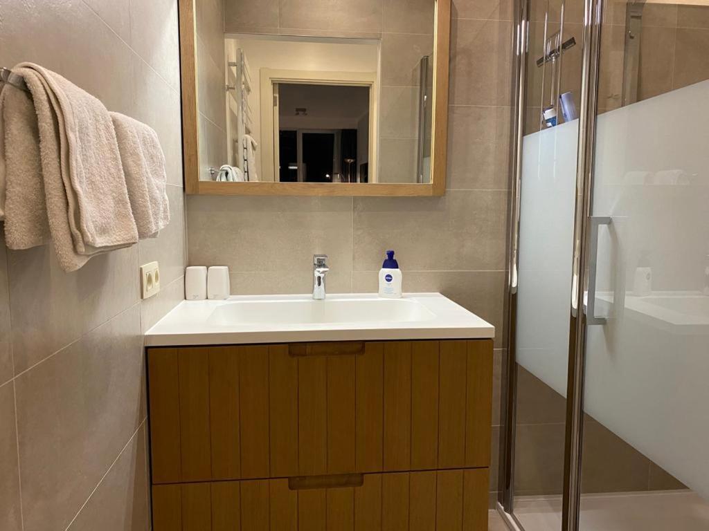 Spacious Studio Knokke-Heist Bagian luar foto